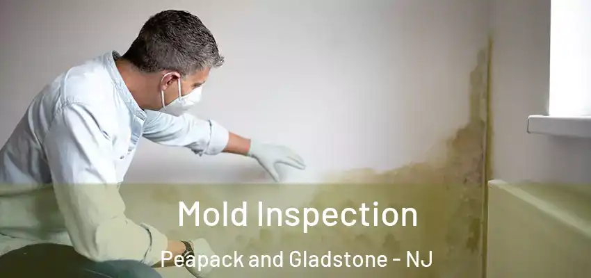 Mold Inspection Peapack and Gladstone - NJ