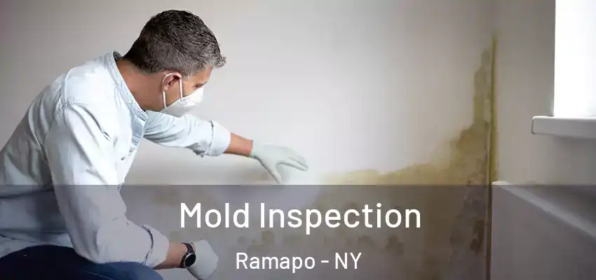  Mold Inspection Ramapo - NY