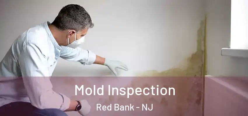  Mold Inspection Red Bank - NJ