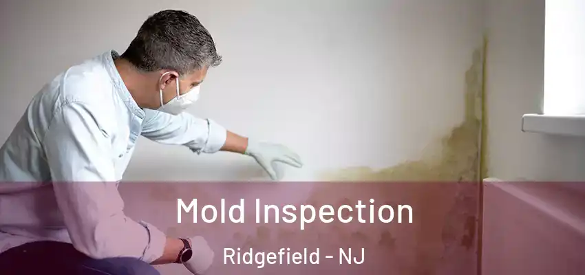 Mold Inspection Ridgefield - NJ