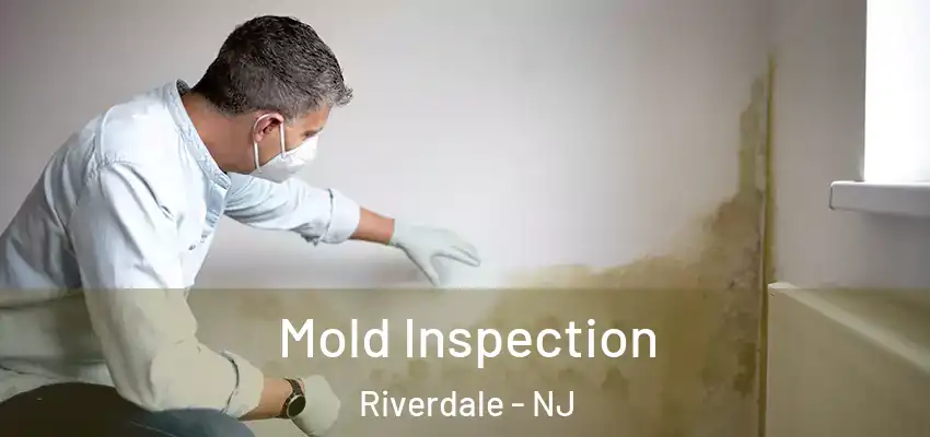 Mold Inspection Riverdale - NJ