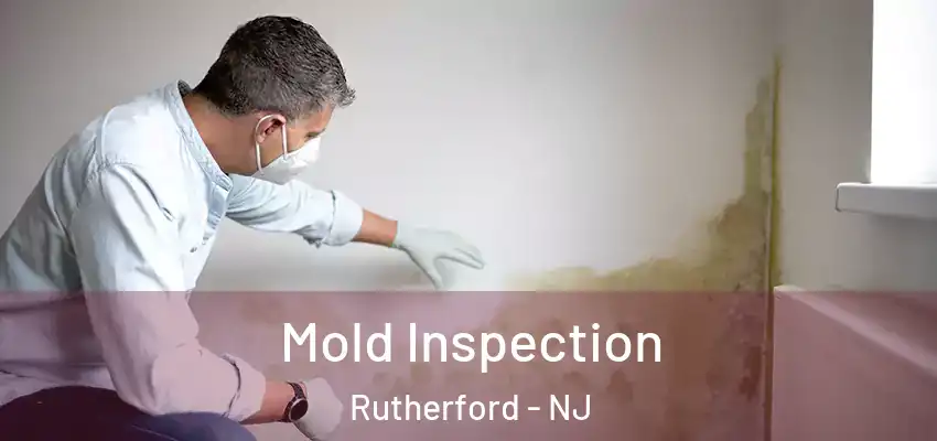  Mold Inspection Rutherford - NJ