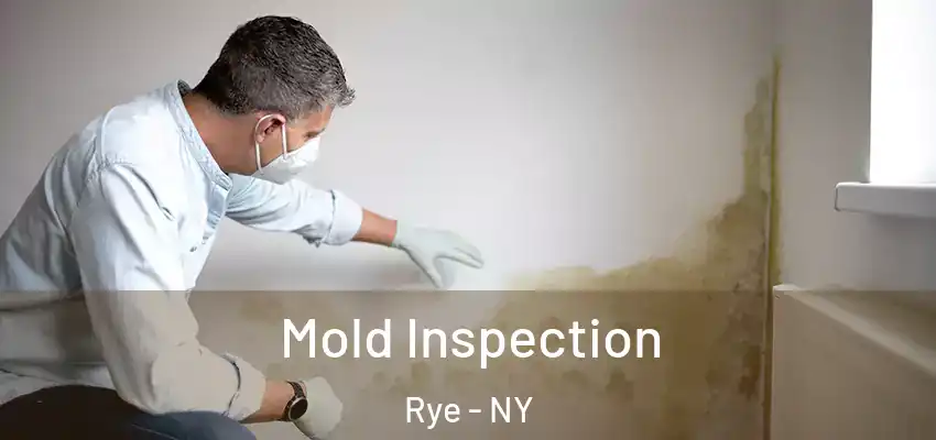 Mold Inspection Rye - NY