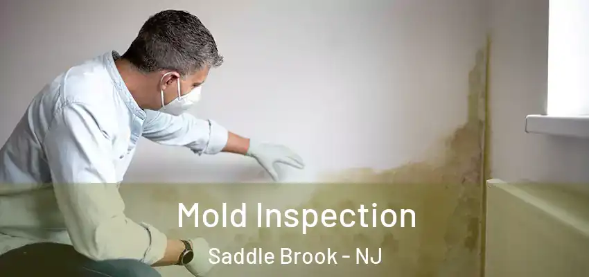 Mold Inspection Saddle Brook - NJ