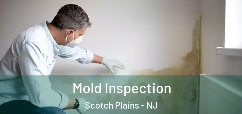  Mold Inspection Scotch Plains - NJ