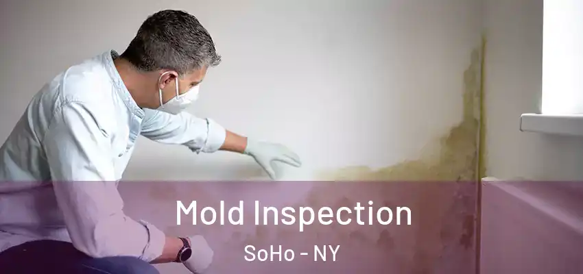 Mold Inspection SoHo - NY