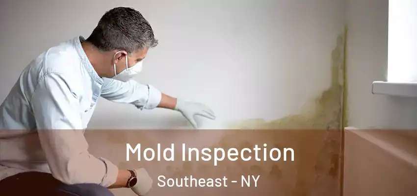  Mold Inspection Southeast - NY