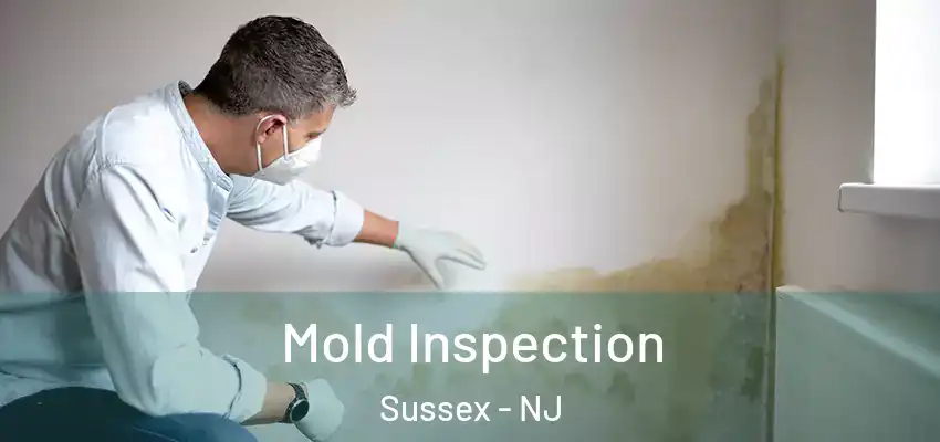 Mold Inspection Sussex - NJ