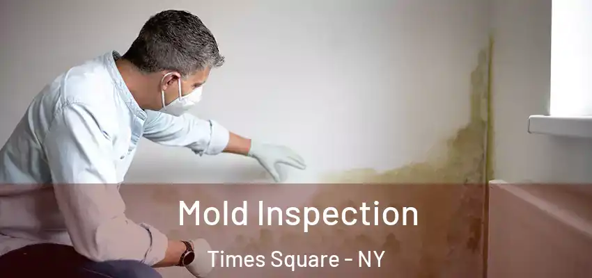  Mold Inspection Times Square - NY