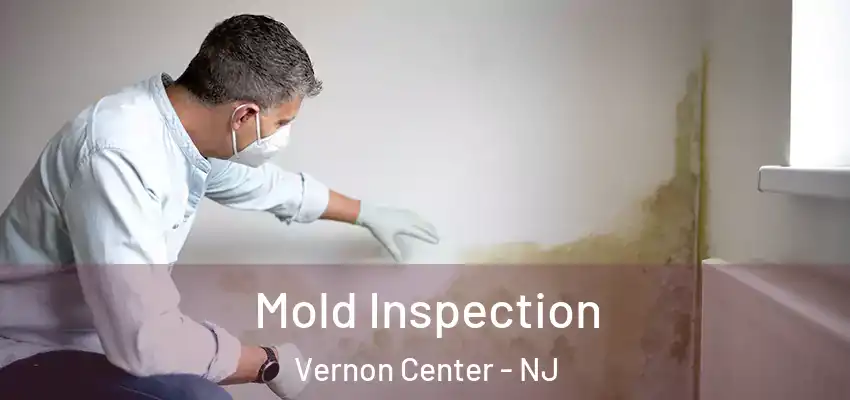 Mold Inspection Vernon Center - NJ