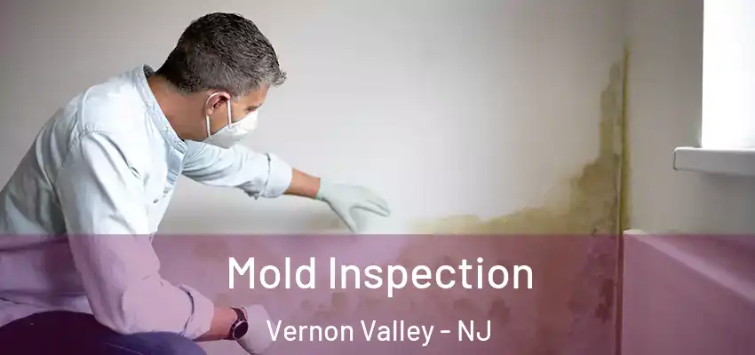  Mold Inspection Vernon Valley - NJ