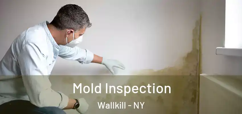 Mold Inspection Wallkill - NY