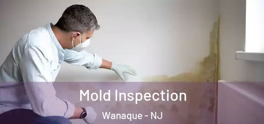 Mold Inspection Wanaque - NJ