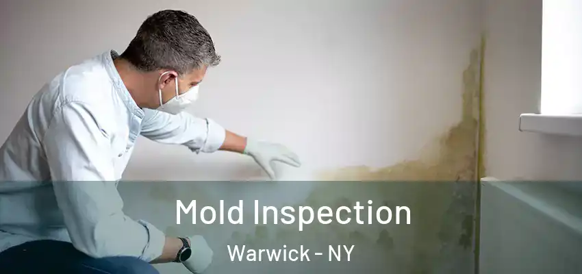 Mold Inspection Warwick - NY