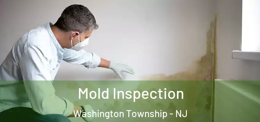  Mold Inspection Washington Township - NJ