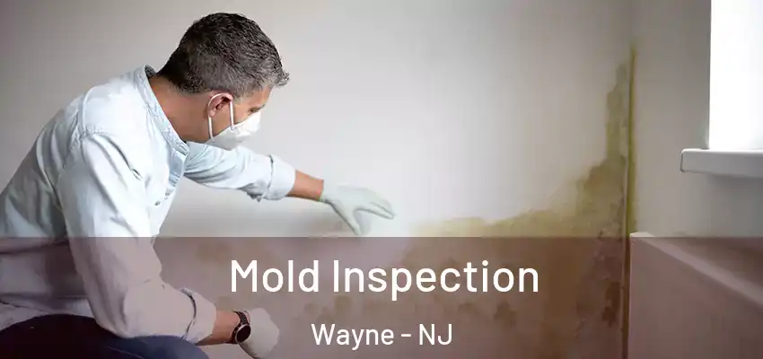 Mold Inspection Wayne - NJ