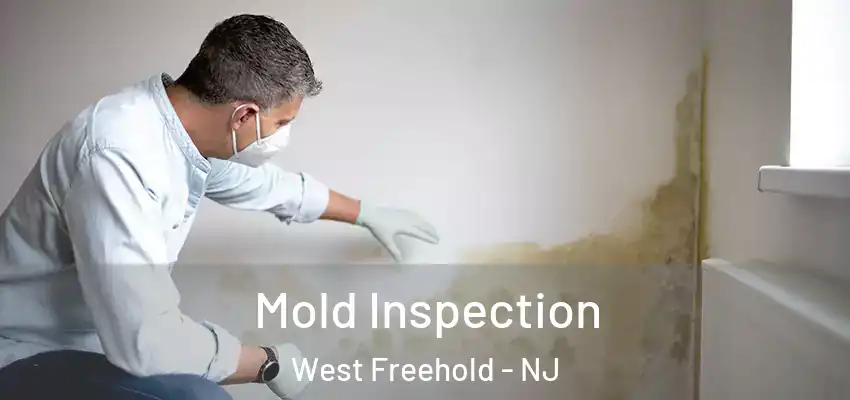 Mold Inspection West Freehold - NJ