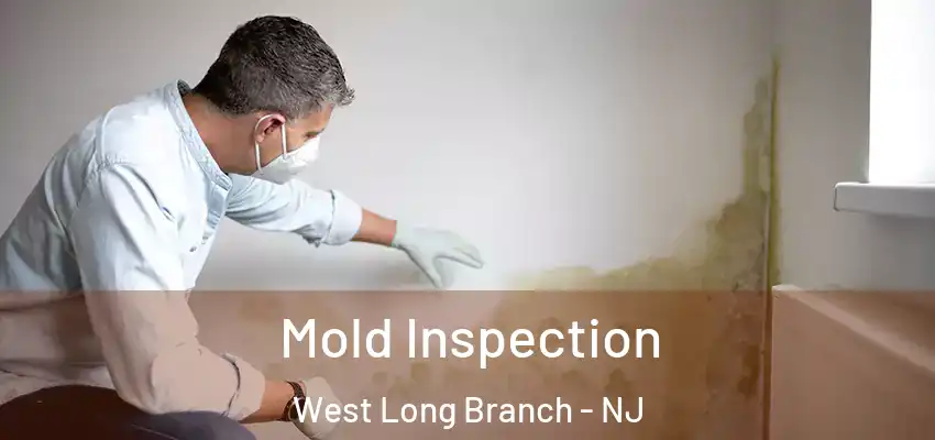 Mold Inspection West Long Branch - NJ