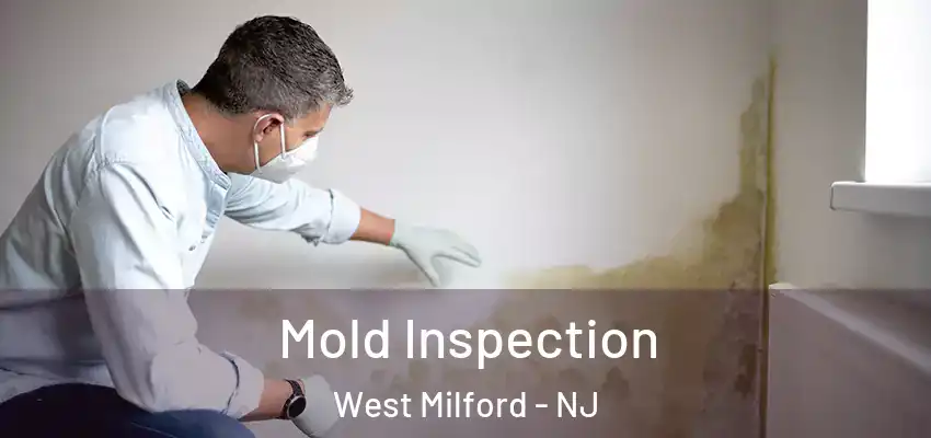  Mold Inspection West Milford - NJ