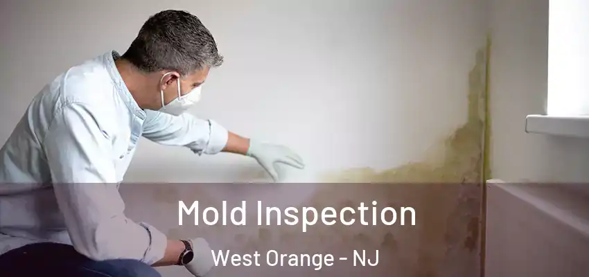 Mold Inspection West Orange - NJ