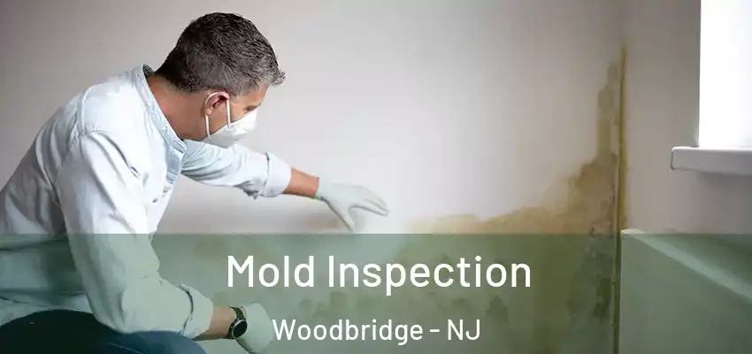  Mold Inspection Woodbridge - NJ