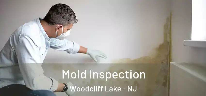 Mold Inspection Woodcliff Lake - NJ