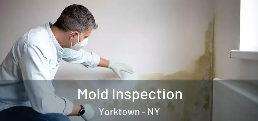 Mold Inspection Yorktown - NY