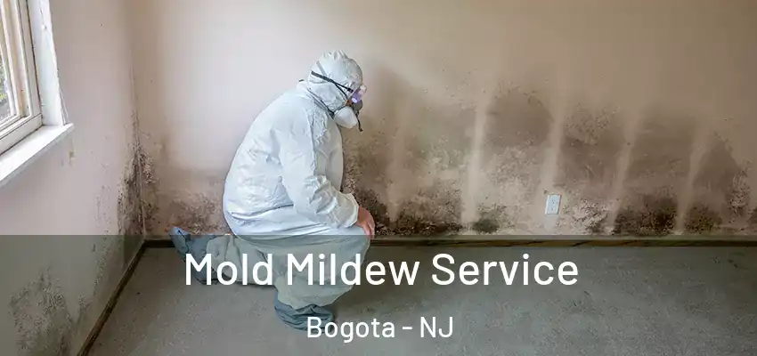 Mold Mildew Service Bogota - NJ