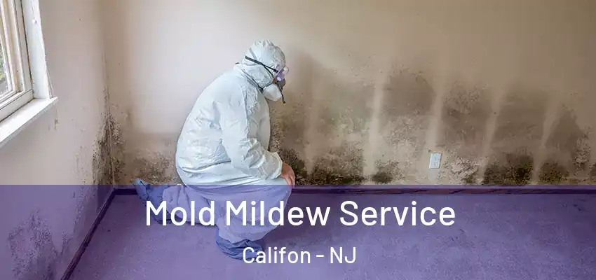  Mold Mildew Service Califon - NJ