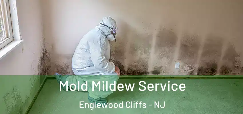 Mold Mildew Service Englewood Cliffs - NJ