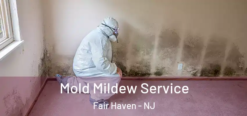  Mold Mildew Service Fair Haven - NJ
