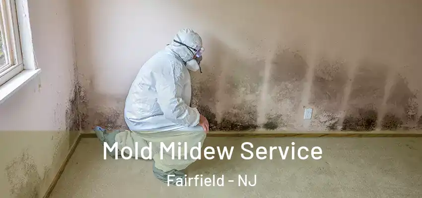 Mold Mildew Service Fairfield - NJ