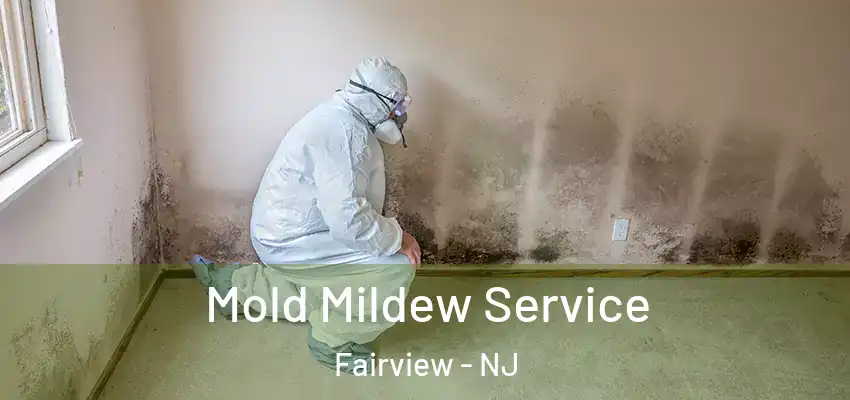  Mold Mildew Service Fairview - NJ