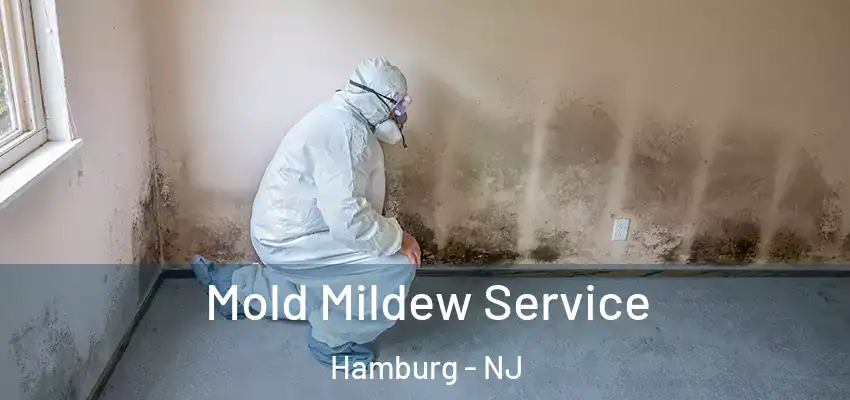 Mold Mildew Service Hamburg - NJ