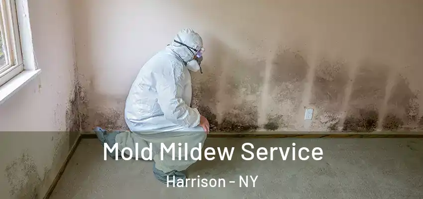  Mold Mildew Service Harrison - NY