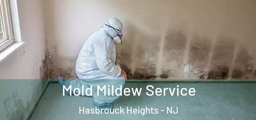  Mold Mildew Service Hasbrouck Heights - NJ