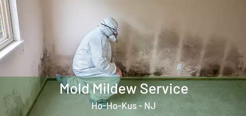 Mold Mildew Service Ho-Ho-Kus - NJ