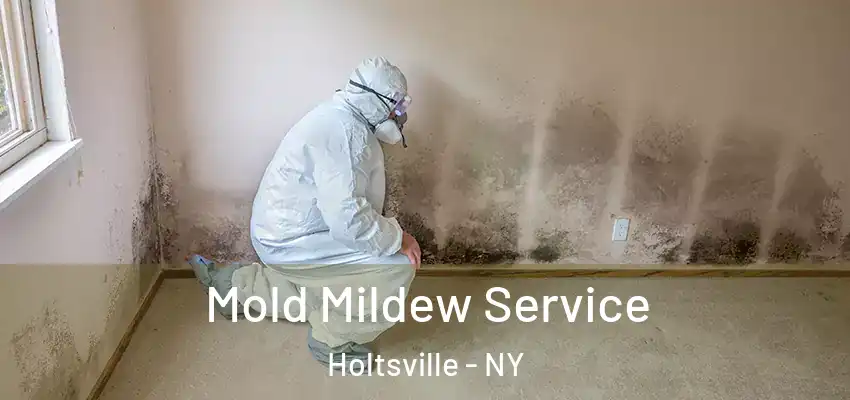 Mold Mildew Service Holtsville - NY