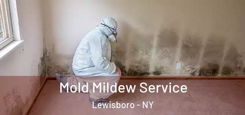  Mold Mildew Service Lewisboro - NY