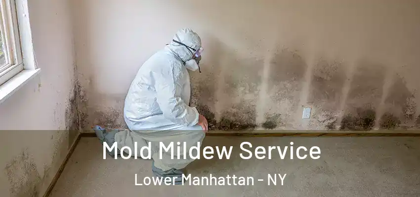  Mold Mildew Service Lower Manhattan - NY