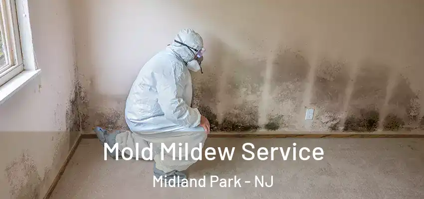 Mold Mildew Service Midland Park - NJ