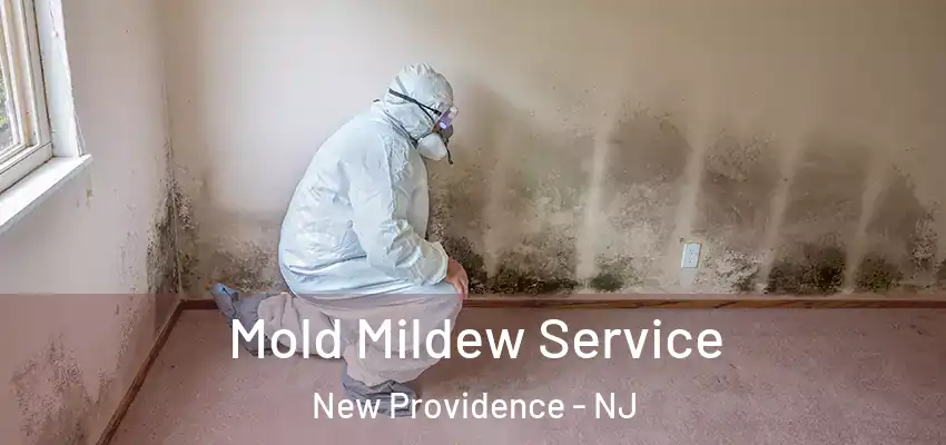  Mold Mildew Service New Providence - NJ