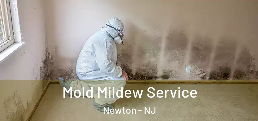 Mold Mildew Service Newton - NJ