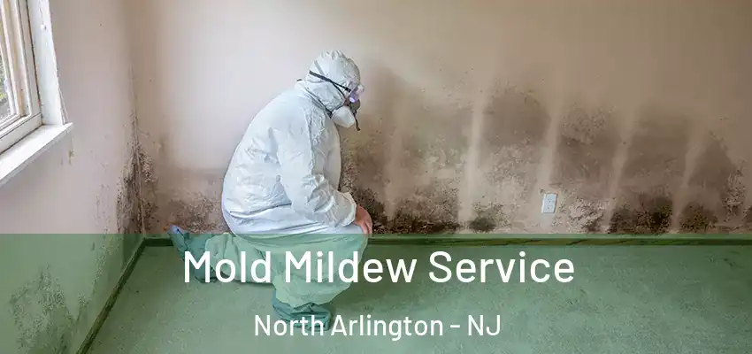  Mold Mildew Service North Arlington - NJ