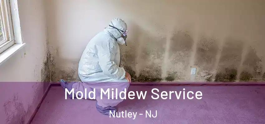  Mold Mildew Service Nutley - NJ
