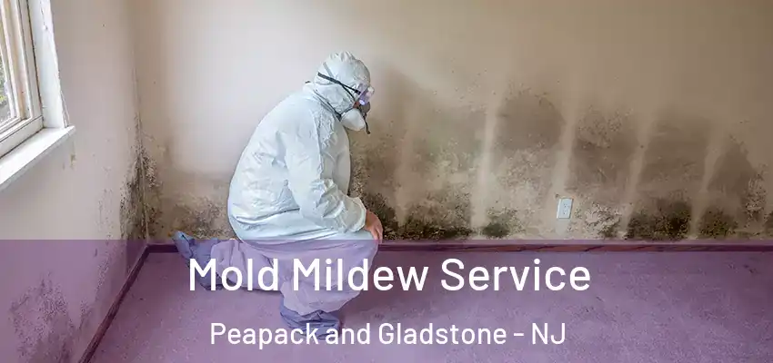 Mold Mildew Service Peapack and Gladstone - NJ