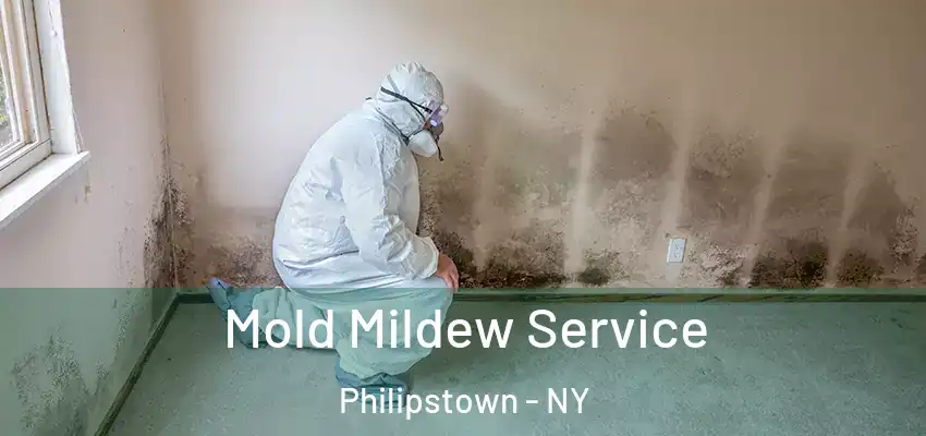  Mold Mildew Service Philipstown - NY