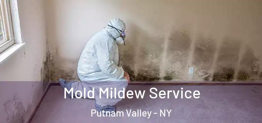 Mold Mildew Service Putnam Valley - NY