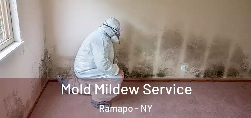 Mold Mildew Service Ramapo - NY