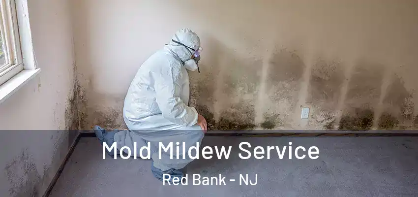 Mold Mildew Service Red Bank - NJ
